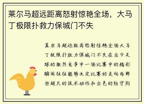 莱尔马超远距离怒射惊艳全场，大马丁极限扑救力保城门不失